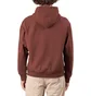 Carhartt WIP American Script Hoodie (Rot)