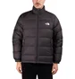 The North Face Hydrenalite Down Winter Jacket (Schwarz)