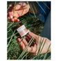 Océopin Anti-Aging Cream (50ml)