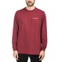 Aimé Leon Dore LS Logo Tee (Burgundy)