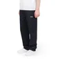 Dime Twill Pants (Navy)
