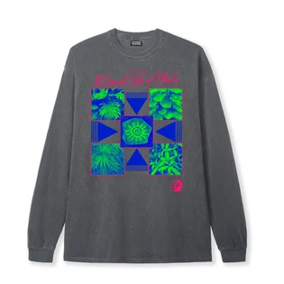 Ignored Prayers Secret Life of Plants Longsleeve (Dunkelgrau)