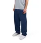 Carhartt WIP Landon Pant (Blau)