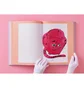 Taschen: Andy Warhol – Seven Illustrated Books 1952–1959