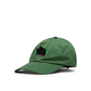 Carne Bollente Wonders of Nature Cap (Grün)