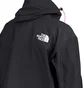 The North Face GTX Mountain Jacket (Schwarz)