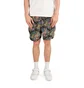 Pleasures Destiny Woven Shorts (Schwarz / Multi)