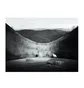 Phaidon: Radical Architecture Of The Future