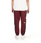 The North Face Mountain Archives Track Pant (Rot)
