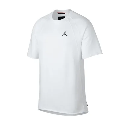 Nike Air Jordan Sportswear Wings Lite T-Shirt (Weiß)