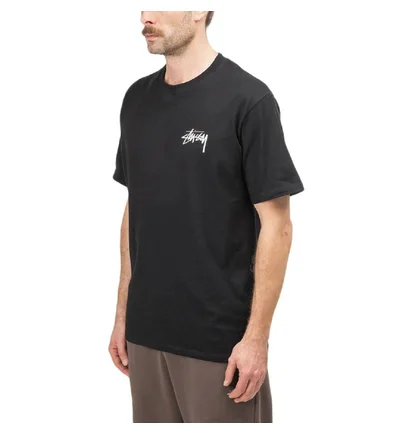 Stüssy Pair of Dice T-Shirt (Schwarz)
