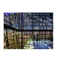 Phaidon: Radical Architecture Of The Future