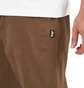 Stüssy Brushed Beach Pant (Braun)