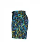 Nike ACG Shorts (Multi)