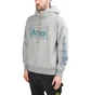 Aries Temple Hoodie (Grau)