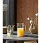 HAY SIP / Smooth Straw 6 stk (Multi)