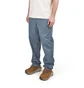 Patagonia Funhoggers Pants (Grau)