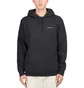 Patagonia Fitz Roy Icon Uprisal Hoody (Schwarz)