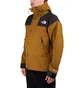 The North Face GTX Mountain Jacket (Oliv)