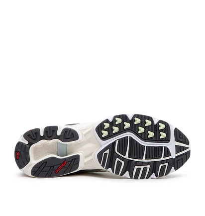 Mizuno Wave Rider 10 (Beige / Multi)