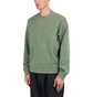 Carhartt WIP Nelson Sweat (Grün)