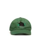 Carne Bollente Wonders of Nature Cap (Grün)