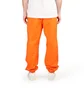 The North Face CTAE Pant (Rot / Orange)
