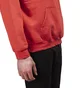 Liberaiders Hammer And Sickle Logo Hoodie (Rot)