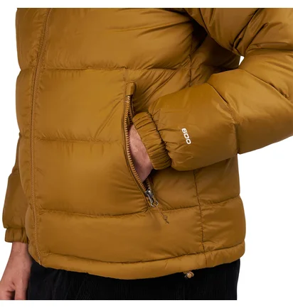 The North Face Hydrenalite Down Winter Jacket (Braun)