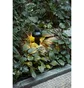 HAY PC Portable Lamp (Schwarz)