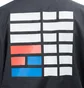 The North Face International Collection Coach Jacket (Schwarz)
