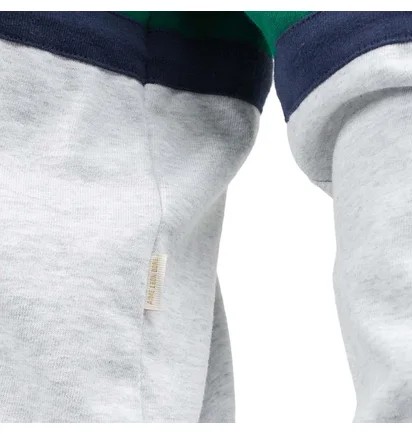 Aimé Leon Dore Multi Stripe Longsleeve (Grau / Grün)