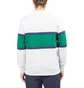 Aimé Leon Dore Multi Stripe Longsleeve (Grau / Grün)