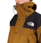 The North Face GTX Mountain Jacket (Oliv)