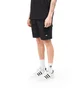 The North Face Black Box Utility Short (Schwarz)