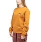 Stüssy WMNS Ocular Crewneck (Braun)