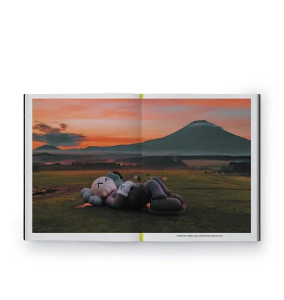 Phaidon: Kaws What a Party