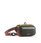 Patagonia Ultralight Black Hole Mini Hip Pack 1L (Multi)