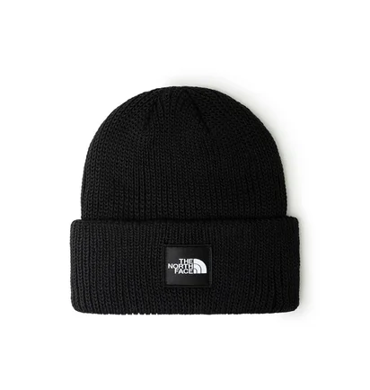The North Face Explore Beanie (Schwarz)