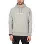 Raised by Wolves Box Logo Hoodie (Grau)