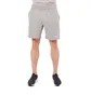 Aimé Leon Dore French Terry Camper Shorts (Grau)