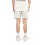 The North Face Water Short (Grau)