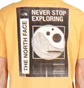 The North Face Galahm Graphic T-Shirt (Orange)
