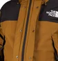 The North Face GTX Mountain Jacket (Oliv)