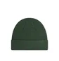 Dime Cursive Wool Fold Beanie (Grün)