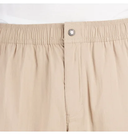 The North Face Karakash Cargo Pant (Flax)