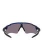 Oakley Radar EV Path (Grau / Multi)
