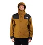 The North Face GTX Mountain Jacket (Oliv)