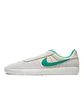 Nike SB Team Classic (Grau / Grün)
