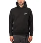 Raised by Wolves Distressed Varsity Hoodie (Schwarz)